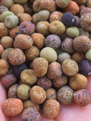 Load image into Gallery viewer, Pea, Dry/Soup, &#39;Roveja&#39;
