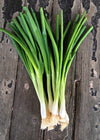 Scallion, 'Ishikura Long Winter'