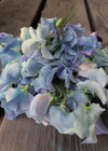 Sweet Pea, 'Lunar Blue'