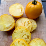 Load image into Gallery viewer, Tomato, &#39;Manyel&#39;
