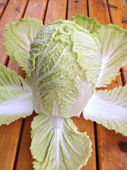 Load image into Gallery viewer, Napa/Chinese Cabbage, &#39;Matsushima #2&#39;
