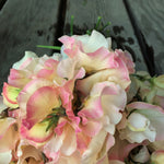 Load image into Gallery viewer, Sweet Pea, &#39;Mollie Rilstone&#39;
