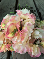 Load image into Gallery viewer, Sweet Pea, &#39;Mollie Rilstone&#39;
