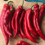 Load image into Gallery viewer, Sweet Pepper, &#39;Jimmy Nardello&#39;
