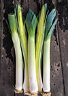 Leek, 'Neptune'