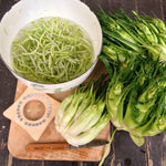 Load image into Gallery viewer, Chicory (Puntarelle di Galatina), &#39;Medusa&#39;
