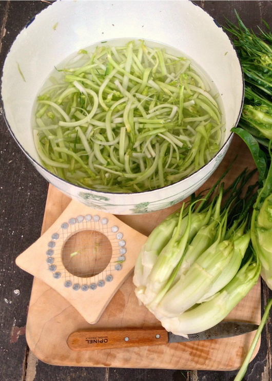 Taglia Puntarelle