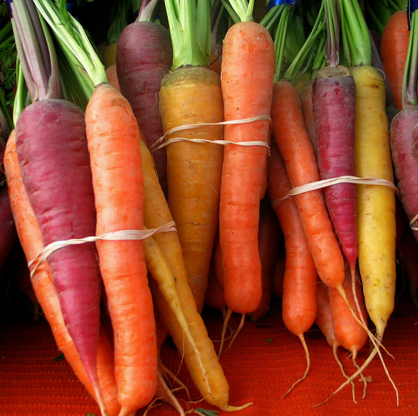 Carrot, 'Rainbow Mix'