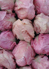 Radicchio (Rosa del Veneto), 'Rosato'