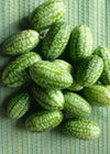 Cucumber (Mexican Sour Gherkin, Cucamelon), 'Sandita'