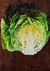 Lettuce, 'Scarlet Butter'