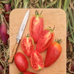 Load image into Gallery viewer, Tomato, &#39;Sheboygan&#39;
