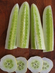 Load image into Gallery viewer, Cucumber, &#39;Silver Slicer&#39;
