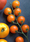 Tomato, 'Sweet Orange II'