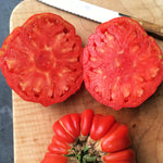 Load image into Gallery viewer, Tomato, &#39;Vernazza&#39;
