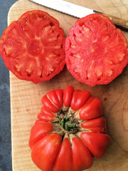 Load image into Gallery viewer, Tomato, &#39;Vernazza&#39;
