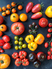 Load image into Gallery viewer, Tomato, &#39;Sheboygan&#39;
