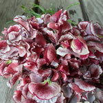 Load image into Gallery viewer, Sweet Pea, &#39;Wiltshire Ripple&#39;
