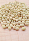 Bean, Bush Dry, 'Zolfino'